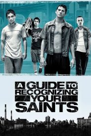 A Guide to Recognizing Your Saints (2006)  1080p 720p 480p google drive Full movie Download