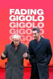 Fading Gigolo (2013)  1080p 720p 480p google drive Full movie Download