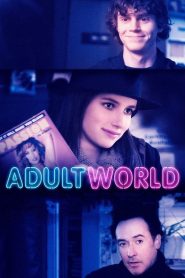 Adult World (2013)  1080p 720p 480p google drive Full movie Download