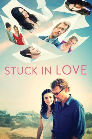 Stuck in Love (2013)  1080p 720p 480p google drive Full movie Download