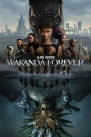 Black Panther: Wakanda Forever (2022)  1080p 720p 480p google drive Full movie Download and watch Online