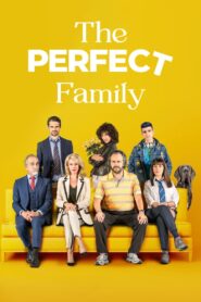 The Perfect Family (2021)  1080p 720p 480p google drive Full movie Download and watch Online