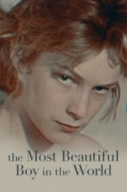 The Most Beautiful Boy in the World (2021)  1080p 720p 480p google drive Full movie Download and watch Online