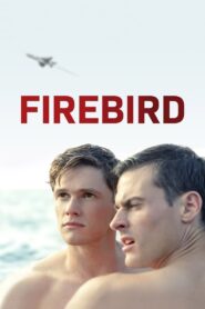 Firebird (2021)  1080p 720p 480p google drive Full movie Download and watch Online