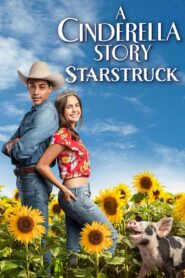 A Cinderella Story: Starstruck (2021)  1080p 720p 480p google drive Full movie Download and watch Online