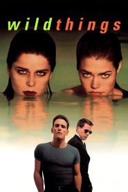 [18+] Wild Things (1998) Dual Audio [Hindi + English] BluRay 480p [350MB] | 720p [1GB] | 1080p [2.3GB]