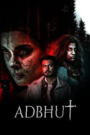 Adbhut (2024) HDTV Hindi Full Movie 480p [350MB] | 720p [900MB] |