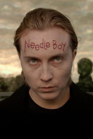 [18+] Needle Boy 2016 HDRip UNRATED [Danish] Full Movie Download