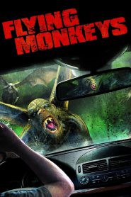 Flying Monkeys (2013) WEBRip Hindi + Multi 720p x264 AVC AAC 2.0 ESub