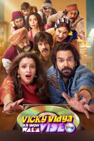 Vicky Vidya Ka Woh Wala Video (2024) Hindi DD5.1 Netflix WEB-DL 480p [450MB] | 720p [1.2GB] | 1080p [2.8GB] Full Movie