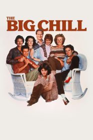 The Big Chill (1983) BluRay Dual Audio [Hindi ORG. + English] Full Movie 480p [350MB] | 720p [1GB] |