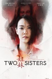 Two Sisters 2019 WEB-DL [Dual Audio] Full Movie Download |